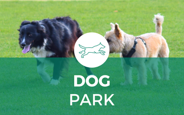 Dog Park - image of two dogs walking in grass
