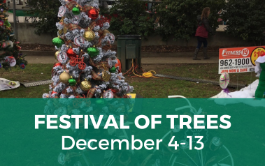 Festival of Trees